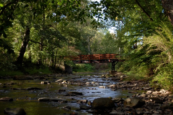 creek and bridge